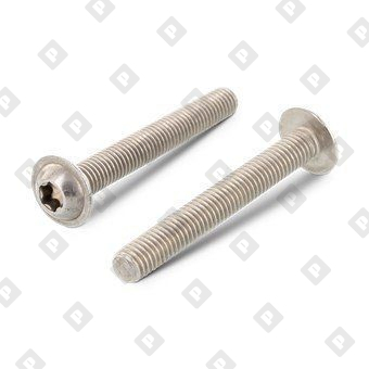 ISO 7380-2 A4 M 12X45/45 TX55 - №1