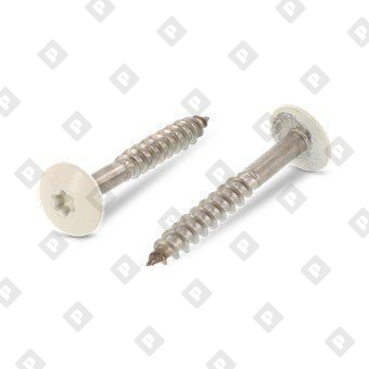 Art. 9086 A2 4,8X38 TX20  RAL 1013 - №1