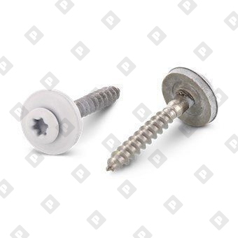 Art. 9087 A2 4,5X100 TX20 - RAL 9010 - №1